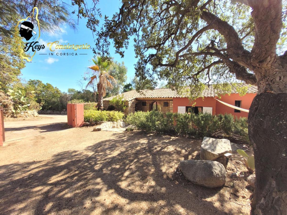 Casa Salya 8 Pers Piscine Privee Chauffee San Cipriano Villa Lecci Eksteriør billede